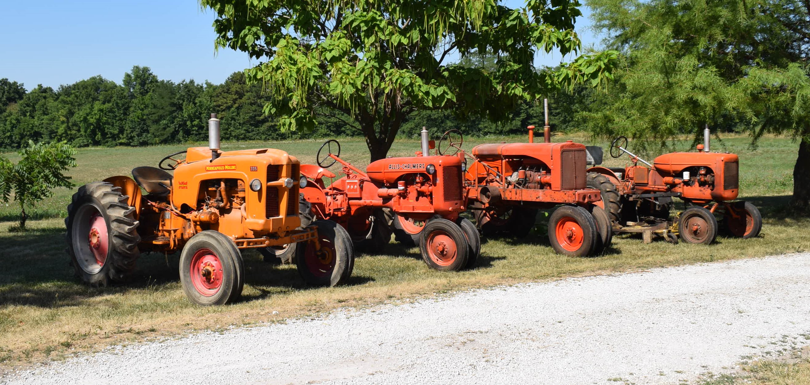 Martin Auction Company